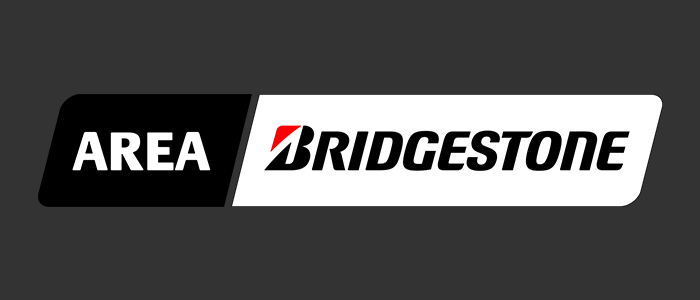 distribuzione pneumatici da sostituzione italia bridgestone fintyre